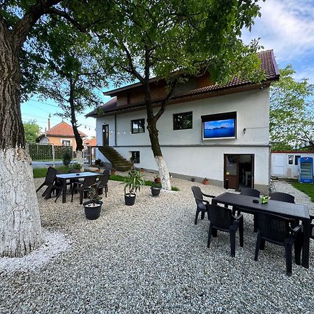 Casa Logascu Hotel Balta Bagian luar foto