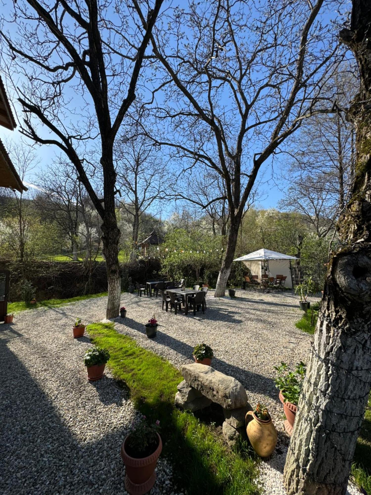 Casa Logascu Hotel Balta Bagian luar foto